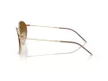Ray-Ban Round Reverse Aurinkolasit RB R0103S 001/CB