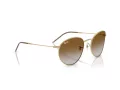 Ray-Ban Round Reverse Aurinkolasit RB R0103S 001/CB