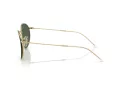 Ray-Ban Round Reverse Aurinkolasit RB R0103S 001/VR