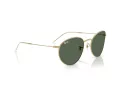 Ray-Ban Round Reverse Aurinkolasit RB R0103S 001/VR