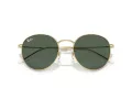 Ray-Ban Round Reverse Aurinkolasit RB R0103S 001/VR