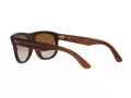 Ray-Ban Boyfriend Reverse Aurinkolasit RB R0501S 6709CB