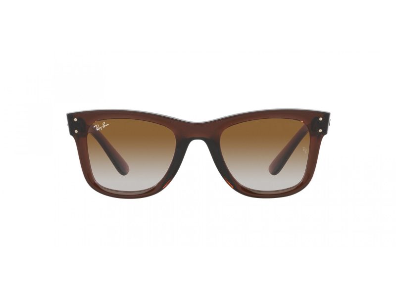 Ray-Ban Wayfarer Reverse Aurinkolasit RB R0502S 6709CB