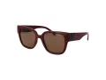 Radley Aurinkolasit RDS 6556 172A