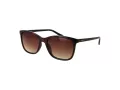 Radley Aurinkolasit RDS 6563 102