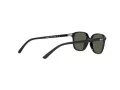 Ray-Ban Leonard Jr Aurinkolasit RJ 9093S 100/71