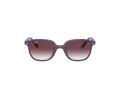 Ray-Ban Junior Leonard Aurinkolasit 9093S 713136