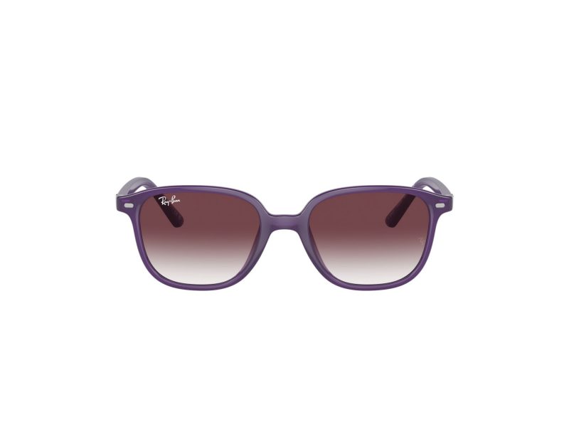 Ray-Ban Junior Leonard Aurinkolasit RJ 9093S 713136