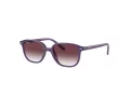 Ray-Ban Junior Leonard Aurinkolasit 9093S 713136