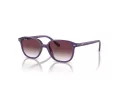 Ray-Ban Junior Leonard Aurinkolasit 9093S 713136