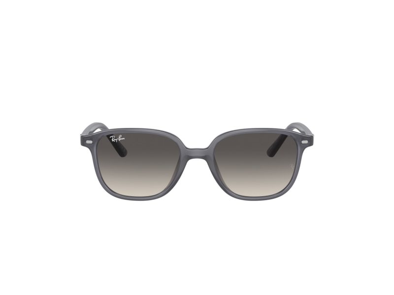 Ray-Ban Junior Leonard Aurinkolasit RJ 9093S 713411