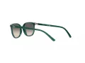 Ray-Ban Junior Elliot Aurinkolasit RJ 9097S 713011