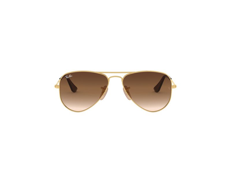 Ray-Ban Junior Aviator Aurinkolasit RJ 9506S 223/13