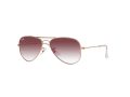 Ray-Ban Junior Aviator Aurinkolasit RJ 9506S 291/8H