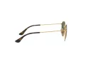 Ray-Ban Junior Round Aurinkolasit RJ 9547S 223/71