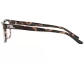 Ralph Lauren Silmalasit RL 6169 5655