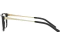 Ralph Lauren Silmalasit RL 6206 5001