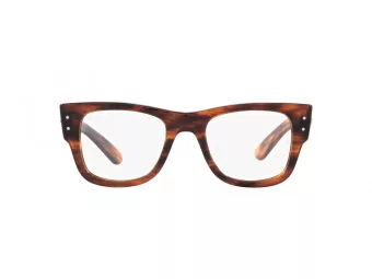 Ray-Ban Mega Wayfarer Silmalasit RX 0840V 2144