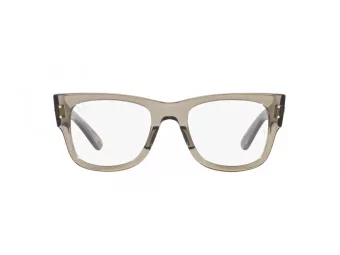 Ray-Ban Mega Wayfarer Silmalasit RX 0840V 8297