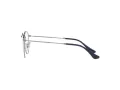 Ray-Ban Round Metal Silmalasit RX 3447V 2502