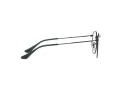 Ray-Ban Round Metal Silmalasit RX 3447V 2509