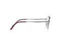 Ray-Ban Silmalasit RX 3681V 2502