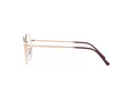 Ray-Ban Jim Silmalasit RX 3694V 3094