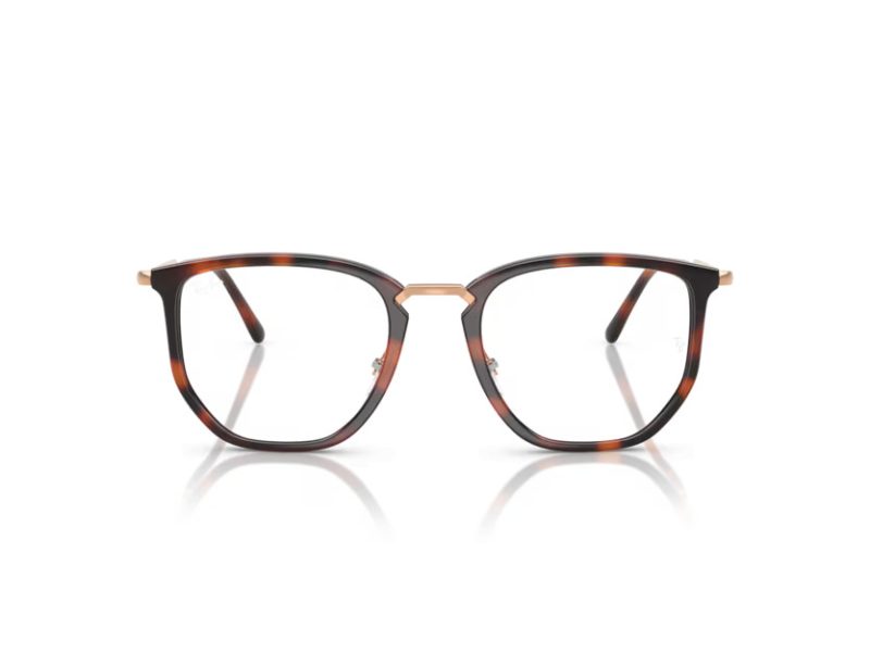 Ray-Ban Silmalasit RX 4451V 5687