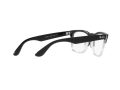 Ray-Ban Steve Silmalasit RX 4487V 8193