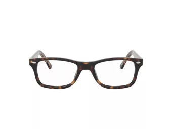 Ray-Ban Silmalasit RX 5228 2012
