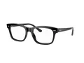 Ray-Ban Mr Burbank Silmalasit RX 5383 2000