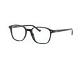 Ray-Ban Leonard Silmalasit RX 5393 2000