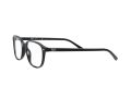 Ray-Ban Leonard Silmalasit RX 5393 2000