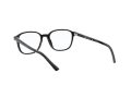 Ray-Ban Leonard Silmalasit RX 5393 2000