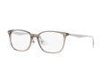 Ray-Ban Silmalasit 5403D 8274