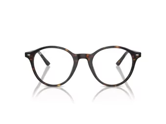 Ray-Ban Bernard Silmalasit RX 5430 2012