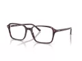 Ray-Ban Raimond Silmalasit RX 5431 8393