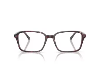 Ray-Ban Raimond Silmalasit RX 5431 8393