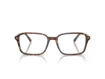 Ray-Ban Raimond Silmalasit RX 5431 8395