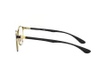 Ray-Ban Silmalasit RX 6355 2994