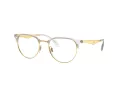 Ray-Ban Silmalasit RX 6396 5762