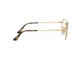 Ray-Ban Hexagonal Silmalasit RX 6448 2945