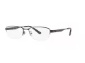 Ray-Ban Silmalasit RX 6453D 2503