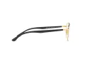 Ray-Ban Silmalasit RX 6469 2991