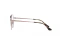 Ray-Ban Silmalasit RX 6490D 2943