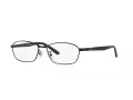 Ray-Ban Silmalasit RX 6502D 2503