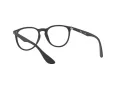 Ray-Ban Erika Silmalasit 7046 5364