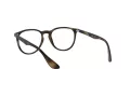 Ray-Ban Erika Silmalasit 7046 5365