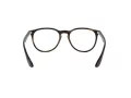 Ray-Ban Erika Silmalasit 7046 5365