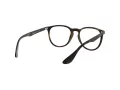 Ray-Ban Erika Silmalasit 7046 5365